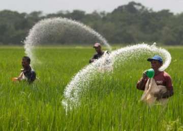 farmers will not face urea shortage harsimrat kaur