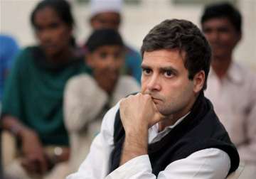 rahul his advisors responsible for congress rout bhanwar lal