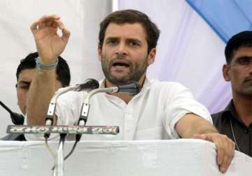 rahul gandhi to prepare programme to rejuvenate congress