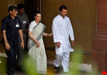 rahul to decide on playing bigger role says sonia