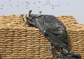 upa defers food bill ordinance opts for parliament debate