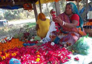 where have all the flowers gone demand peaks in agra