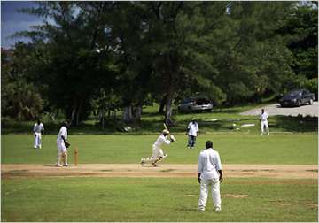 cricket finds a home in new york