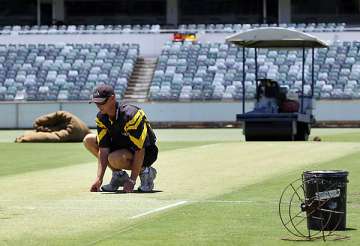curator says plenty of bounce in waca pitch