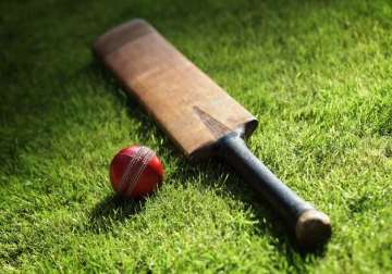 teenage cricketer dies in pakistan after hit on chest