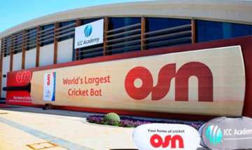 largest cricket bat bids for guinness world record
