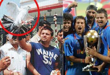 raina frees 11 white pigeons to celebrate wc win