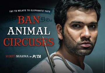 rohit stands up against treatment to circus tuskers