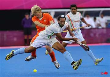 india go down fighting against netherlands