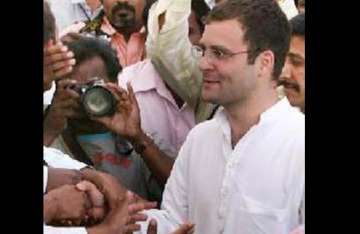 rahul turns up at talkatora to cheer vijender
