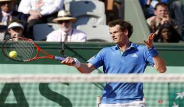 andy murray reaches french open semifinals