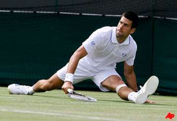 djokovic inspired at wimbledon by squirrely friend