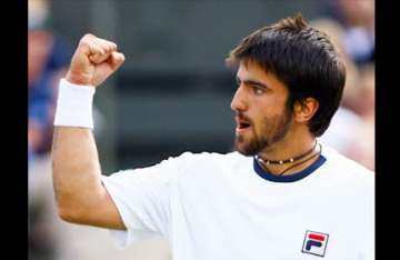 serbian tipsarevic advances in washington classic