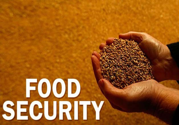 India To Seek Permanent Solution To Food Security Issue At WTO | India ...