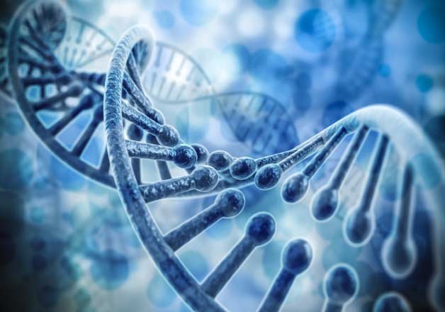most people carry recessive disease mutations