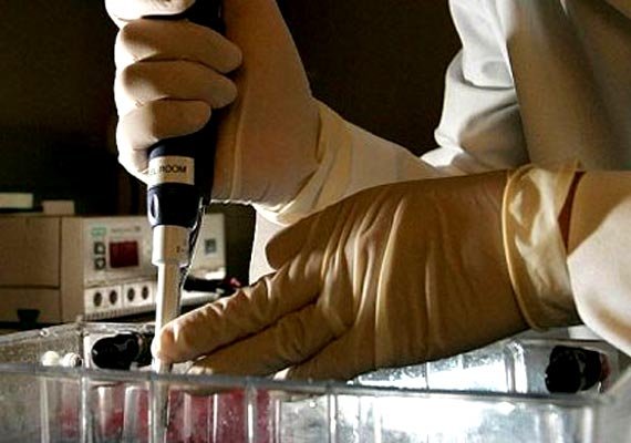 why testosterone may increase prostate cancer risk