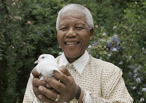 doctors rejected turning off mandela life support friend