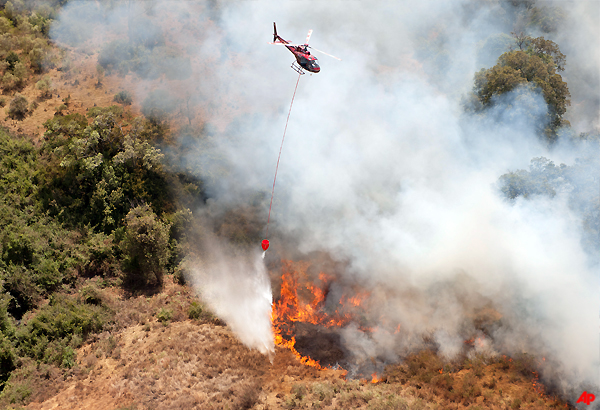 elephants flee as fire burns on mount kenya slopes