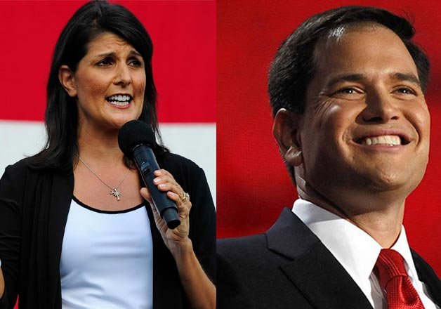 us presidential elections indo american nikki haley
