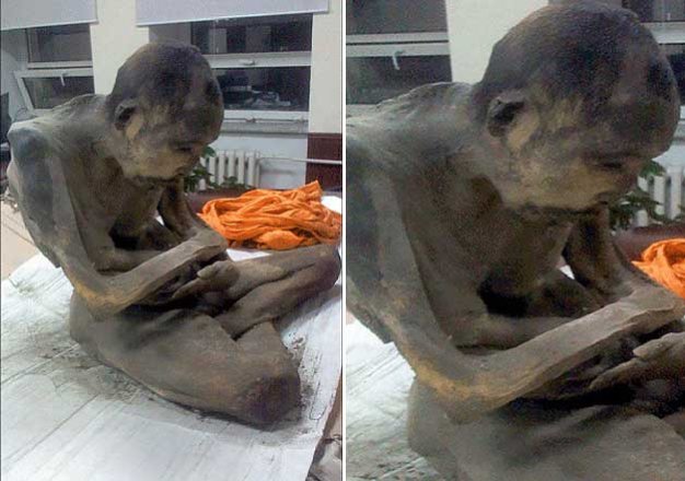 Mongolia 200 Year Old Meditating Mummy Still Alive World News India Tv