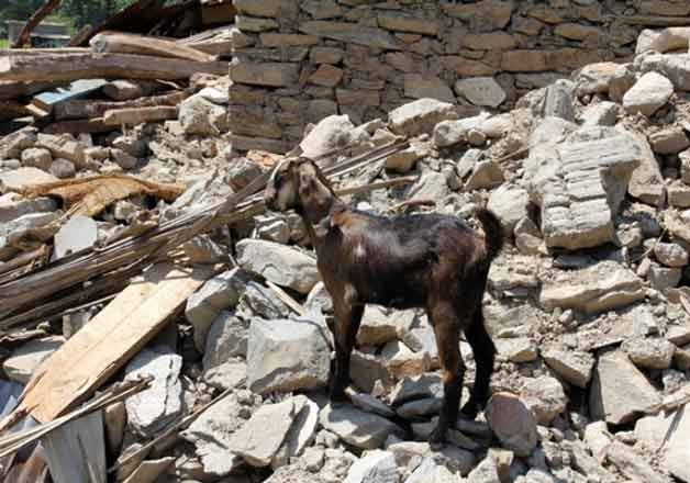 they survived nepal s quake but lost livelihood