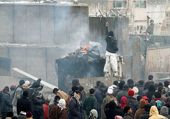 nato orders probe of quran disposal in afghanistan
