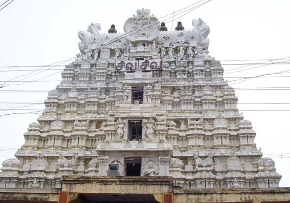 adi festival begins at ramanathasamy temple