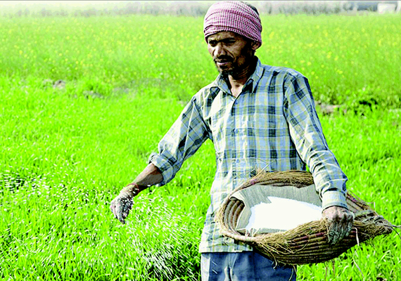 direct transfer of fertilizer subsidy lpg kerosene cash