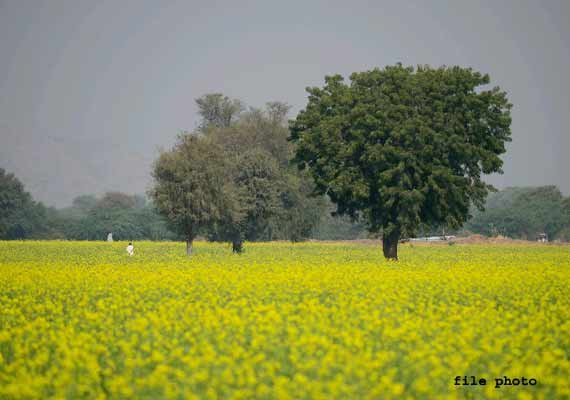 indian villager kidnapped by bangladeshis freed