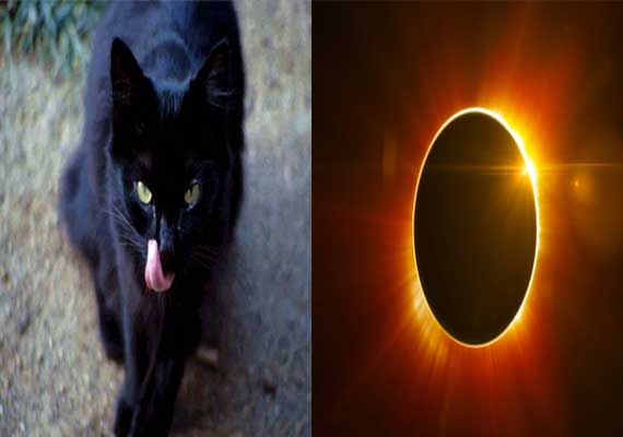 know-the-top-10-common-superstitious-beliefs-india-news-india-tv