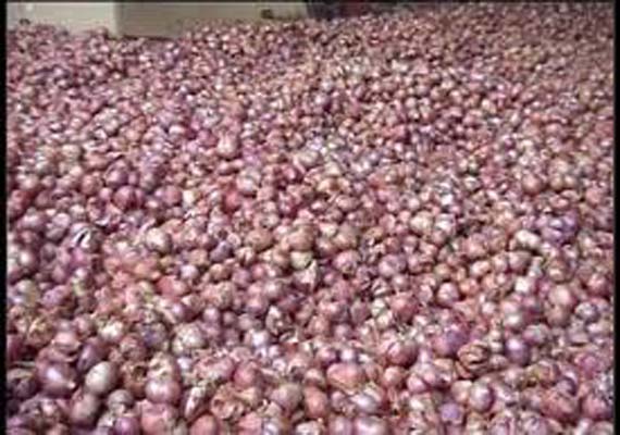 Onion Market Url