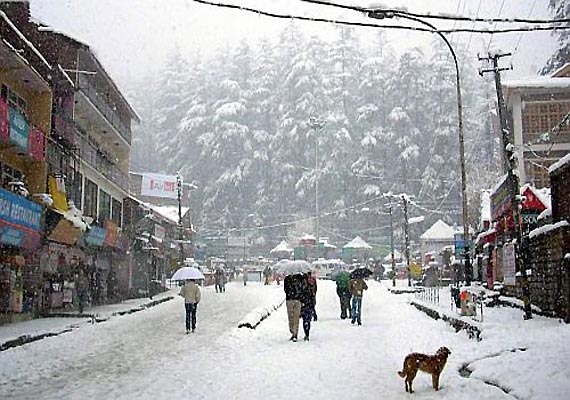 manali snowfall news live