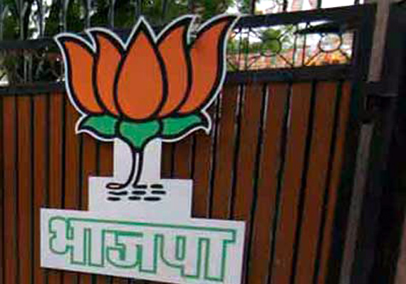 bjp woos dmdk and pmk for 2014 polls