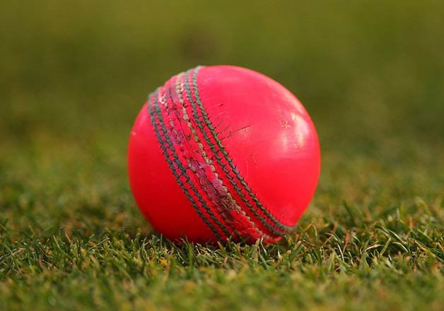 Critics slam use of pink balls for day-night Test | Cricket News – India TV