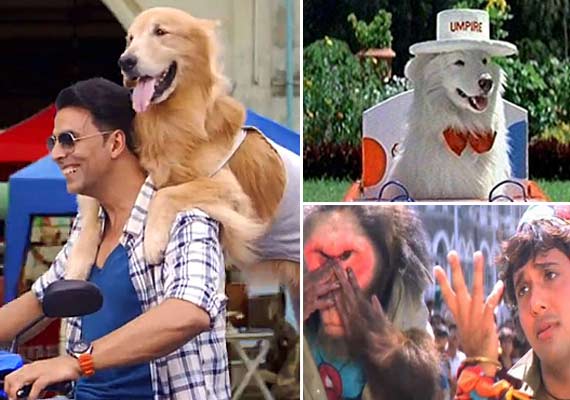Akshay 'Entertainment' hits this Friday: Recap of movies with animals in  lead roles (view pics) | Bollywood News – India TV