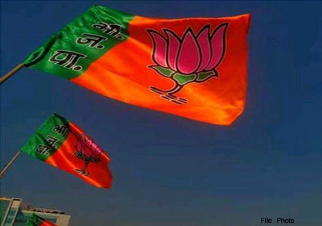 Delhi Polls: BJP Union Ministers, MPs Given Charge Of Constituencies ...