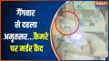 Punjab: Gangster Jarnail Singh shot dead in Amritsar, murder caught on CCTV
