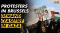 Thousands of protesters in Brussels demand ceasefire in Gaza