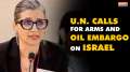 U.N. expert calls for arms and oil embargo on Israel | Israel-Palestinian  Conflict | India TV News