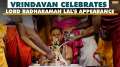Lord Radharaman Lal's Festival: Vrindavan celebrates Lord Radharaman appearance with pomp