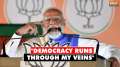 PM Modi counters opposition 'democracy in danger', claims Modi Ki Ragon Mai Loktantra Zinda Hai…”