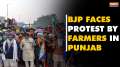 LS polls 2024: BJP faces protest by farmers as it goes solo in Punjab for the first time