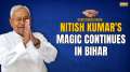 Lok Sabha Election Results 2024: Nitish Kumar's magic continues in Bihar 
