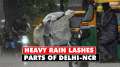 Rain In Delhi: Rainfall lashes Delhi, brings respite from scorching heat