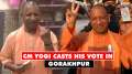 Lok Sabha Elections Phase 7: CM Yogi Adityanath casts vote in Gorakhpur