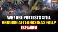 Bangladesh Unrest: Key factors behind Dhaka protests following Sheikh Hasina's exit