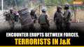 J&K: Fresh encounter breaks out between forces and terrorists in Kishtwar, search ops launched