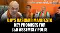 BJP Unveils Kashmir Manifesto: What are the key promises of BJP for the J&K Assembly Elections?