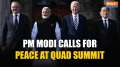 PM Modi delivers peace message at Quad Summit says 'Our message is clear, Quad is here to stay’