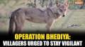 Operation Bhediya: Officials constantly patrolling in Bahraich, ask villagers to stay vigilant